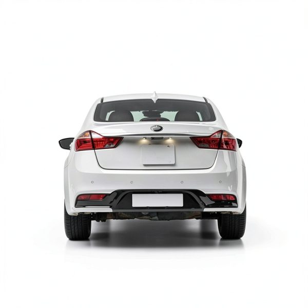 rear