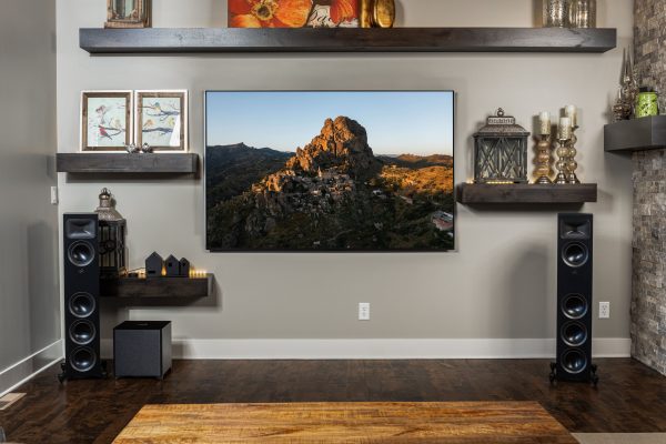 MartinLogan Dynamo Foundation 10 Subwoofer DSP Wireless-11