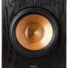 Klipsch Subwoofer Black Label 10 Inch Spun Copper Woofer-0