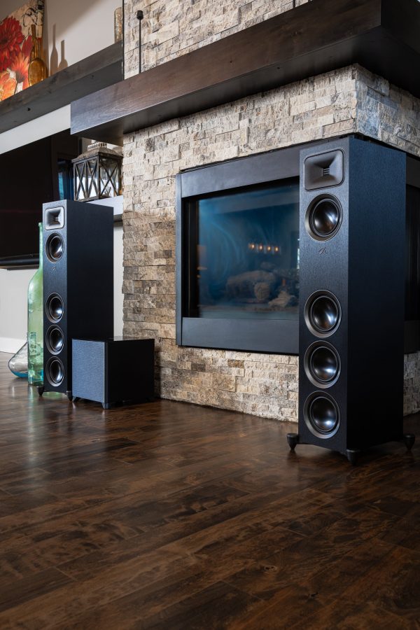 MartinLogan Dynamo Foundation 10 Subwoofer DSP Wireless-8